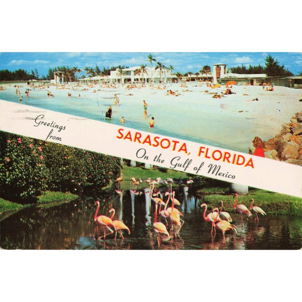 Vtg Greetings From Sarasota Florida Postcard Lido Beach Flamingos Gulf of Mexico - Picture 1 of 2